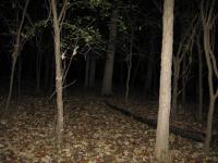 Chicago Ghost Hunters Group investigates Robinson Woods (173).JPG